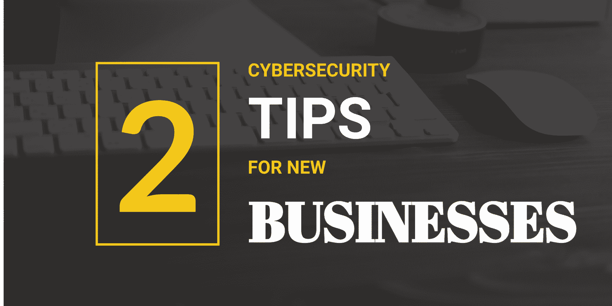 cyber security tips